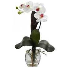 Load image into Gallery viewer, Mini Phal Orchid Arrangement (Set of 3)