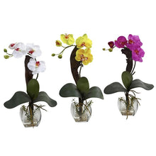 Load image into Gallery viewer, Mini Phal Orchid Arrangement (Set of 3)