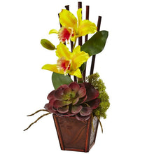 Load image into Gallery viewer, Cattleya Orchid and Succulent Arrangement (Set of 2)