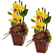 Load image into Gallery viewer, Cattleya Orchid and Succulent Arrangement (Set of 2)