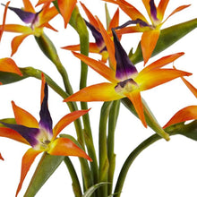 Load image into Gallery viewer, Bird of Paradise in Black Glossy Cylinder
