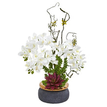 Load image into Gallery viewer, Phalaenopsis Orchid and Succulent Artificial Arrangement