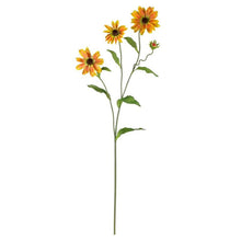 Load image into Gallery viewer, 28.5" Cosmo Stem (Set of 12)