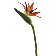 Load image into Gallery viewer, 35’'Bird of Paradise Artificial Flower (Set of 4)