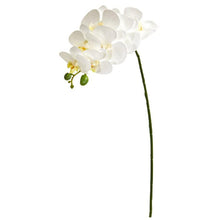 Load image into Gallery viewer, 28" Orchid Phalaenopsis Artificial Flower Stem (Set of 6)