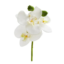 Load image into Gallery viewer, 9" Phalaenopsis Orchid Artificial Flower Pick (Set of 12)