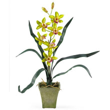 Load image into Gallery viewer, Cymbidium Orchid w/Vase (Set of 3)