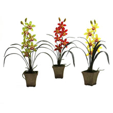 Load image into Gallery viewer, Cymbidium Orchid w/Vase (Set of 3)