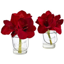 Load image into Gallery viewer, Amaryllis in Glass Vase (Set of 2)