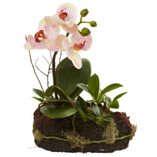 Load image into Gallery viewer, Orchid Island (Set of 2)