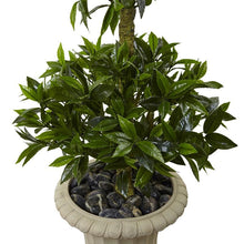 Load image into Gallery viewer, 5.5'Triple Bay Leaf Topiary Artificial Tree in Urn UV Resistant (Indoor/Outdoor)