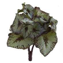 Load image into Gallery viewer, Rex Begonia Artificial Bush (Set of 12)
