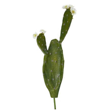 Load image into Gallery viewer, 24" Flowering Cactus Artificial Plant (Set of 4)