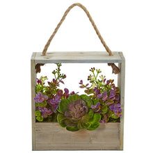 Load image into Gallery viewer, Echeveria Succulent and Eucalyptus Artificial Plant in Hanging Frame