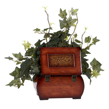 Load image into Gallery viewer, Puff Ivy w/Chest Silk Plant