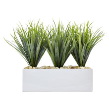 Load image into Gallery viewer, Vanilla Grass in Rectangular Planter