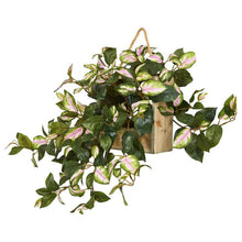 Load image into Gallery viewer, 24" Hoya Artificial Plant in Decorative Hanging Frame