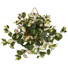 Load image into Gallery viewer, 24" Hoya Artificial Plant in Decorative Hanging Frame