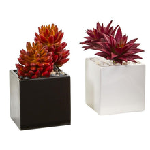 Load image into Gallery viewer, Agave and Spiky Succulent Artificial Plant in Vase (Set of 2)