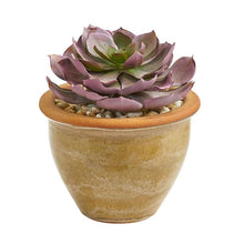 Load image into Gallery viewer, Large Succulent Artificial Plant in Ceramic Vase (Set of 2)