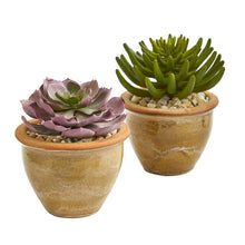 Load image into Gallery viewer, Large Succulent Artificial Plant in Ceramic Vase (Set of 2)
