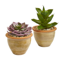 Load image into Gallery viewer, 12" Succulent Artificial Plant in Glazed Ceramic Vase (Set of 2)