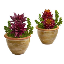 Load image into Gallery viewer, Succulent Artificial Plant in Ceramic Planter (Set of 2)