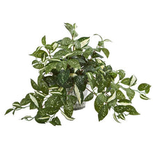 Load image into Gallery viewer, 15" Florida Beauty Artificial Plant in Vintage Metal Hanging Planter