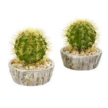 Load image into Gallery viewer, 7" Cactus Artificial Plant in Weathered Planter (Set of 2)