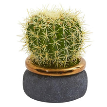 Load image into Gallery viewer, Cactus Artificial Plant in Designer Bowl