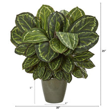 Load image into Gallery viewer, 25" Maranta Artificial Plant in Decorative Planter