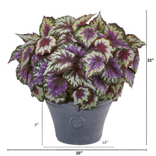 Load image into Gallery viewer, 22" Begonia Artificial Plant in Gray Planter