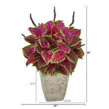 Load image into Gallery viewer, 34" Coleus Artificial Plant in Country White Planter