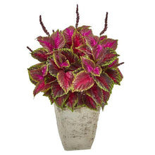 Load image into Gallery viewer, 34" Coleus Artificial Plant in Country White Planter