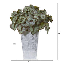 Load image into Gallery viewer, 14" Rex Begonia Artificial Plant in Planter