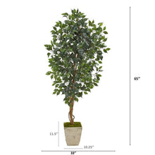 Load image into Gallery viewer, 65" Ficus Artificial Tree in Country White Planter