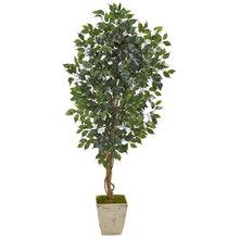 Load image into Gallery viewer, 65" Ficus Artificial Tree in Country White Planter
