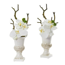 Load image into Gallery viewer, 15" Phalaenopsis Orchid Artificial Arrangement in White Urn (Set of 2)