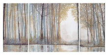 Load image into Gallery viewer, Madison Park Forest Reflections Gel Coated Canvas Set Of 3 MP95C-0041 By Olliix
