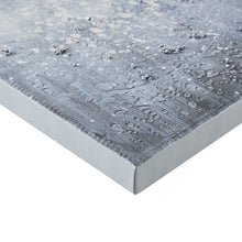 Load image into Gallery viewer, Madison Park Winter Glaze Heavy Textured Canvas With Glitter Embellishment 2 Piece Set MP95C-0197
