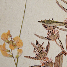 Load image into Gallery viewer, Martha Stewart French Herbarium Framed Linen Canvas 2 Piece Set MT95C-0005