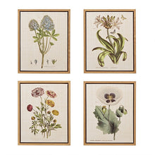 Load image into Gallery viewer, Martha Stewart Herbal Botany Framed Linen Canvas 4 Piece Set MT95C-0006