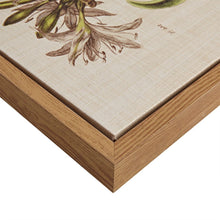 Load image into Gallery viewer, Martha Stewart Herbal Botany Framed Linen Canvas 4 Piece Set MT95C-0006