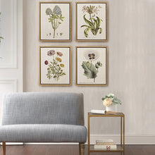 Load image into Gallery viewer, Martha Stewart Herbal Botany Framed Linen Canvas 4 Piece Set MT95C-0006
