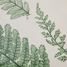 Load image into Gallery viewer, Martha Stewart Lady Fern Collection Single Mat Framed Graphic 3 Piece Set MT95G-0003