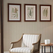 Load image into Gallery viewer, Martha Stewart Lady Fern Collection Single Mat Framed Graphic 3 Piece Set MT95G-0003