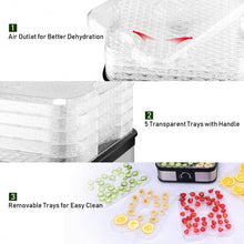 Load image into Gallery viewer, 5 Tray Temperature Control Fruit Vegetable Dryer