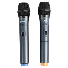 Load image into Gallery viewer, Portable 12" 2-way 600 W Bluetooth Music Rechargeable Powered Speaker