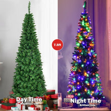 Load image into Gallery viewer, National Tree 7.5 Foot Kingswood Fir Pencil Tree-7.5'