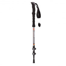 Load image into Gallery viewer, Pair 2 Trekking Walking Hiking Sticks-Gray